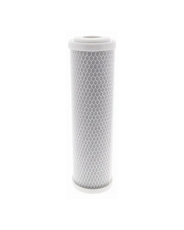 Repuesto Carbon Block 10´