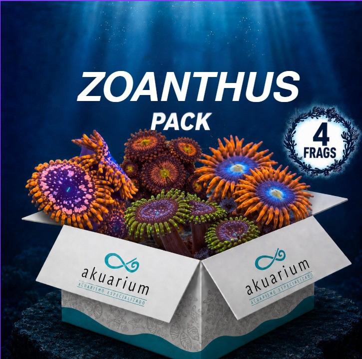 Pack Zoanthus N°1