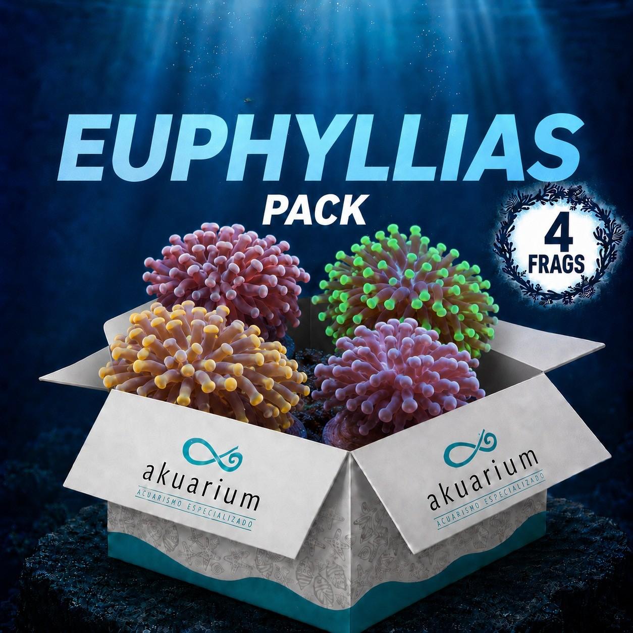 Pack Euphyllias