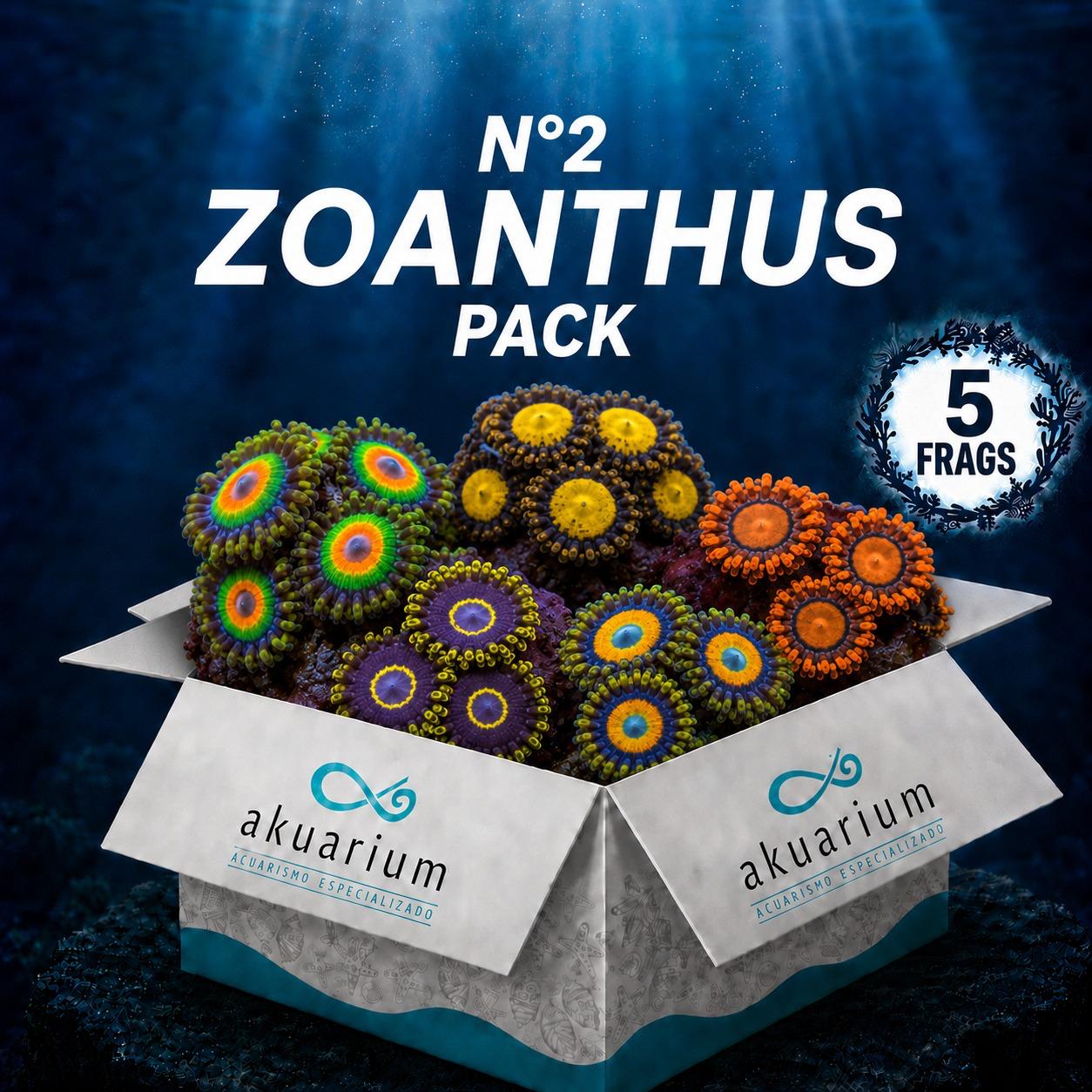 Pack Zoanthus N°2