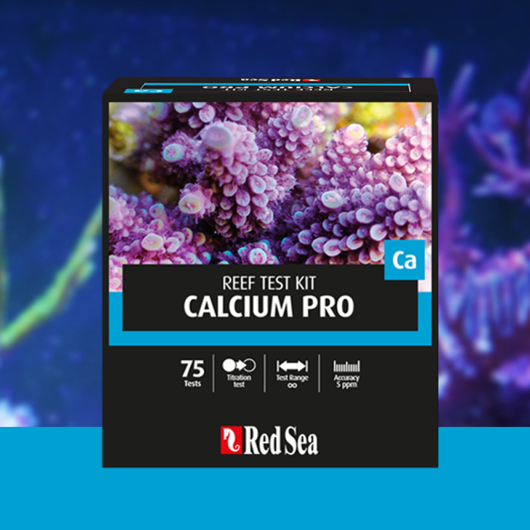 Red Sea Calcium Pro Test Kit (75 pruebas)