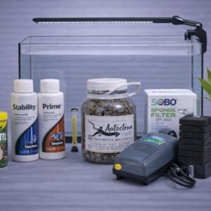 Acuario Para Axolote