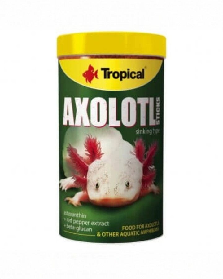 Axolotl