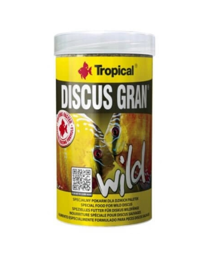 Discus Gran Wild