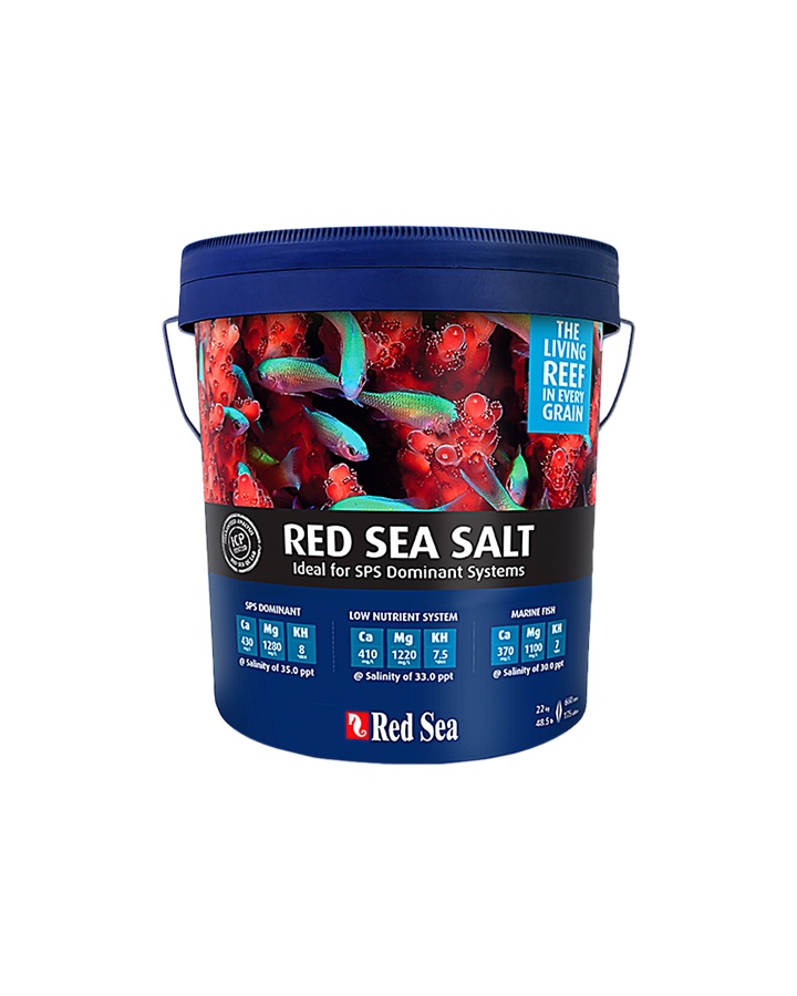Red Sea Sal